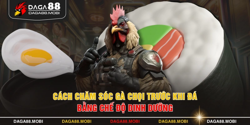 Cách chăm sóc gà chọi trước khi đá bằng chế độ dinh dưỡng