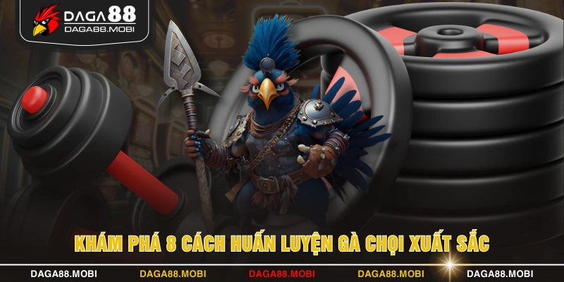 Khám phá 8 cách huấn luyện gà chọi xuất sắc