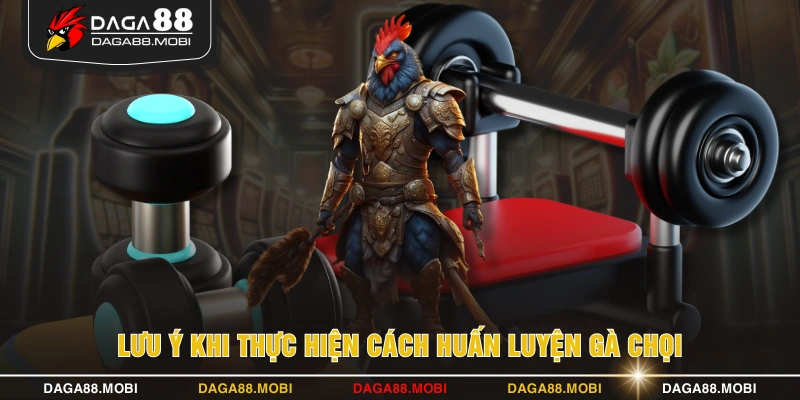 Lưu ý khi thực hiện cách huấn luyện gà chọi