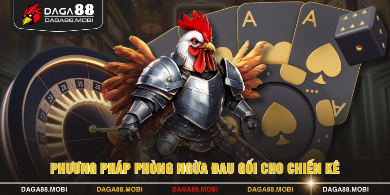 Phương pháp phòng ngừa đau gối cho chiến kê