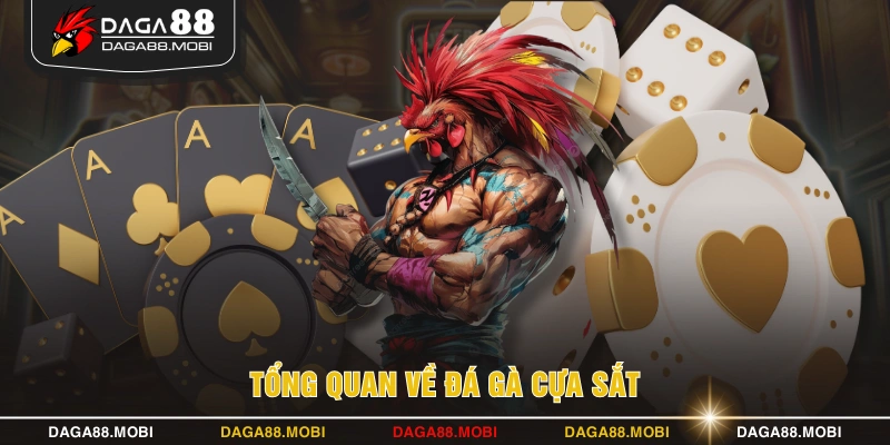 Tổng quan về đá gà cựa sắt