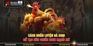 Cách Huấn Luyện Gà Chọi Để Tạo Nên Chiến Binh Mạnh Mẽ